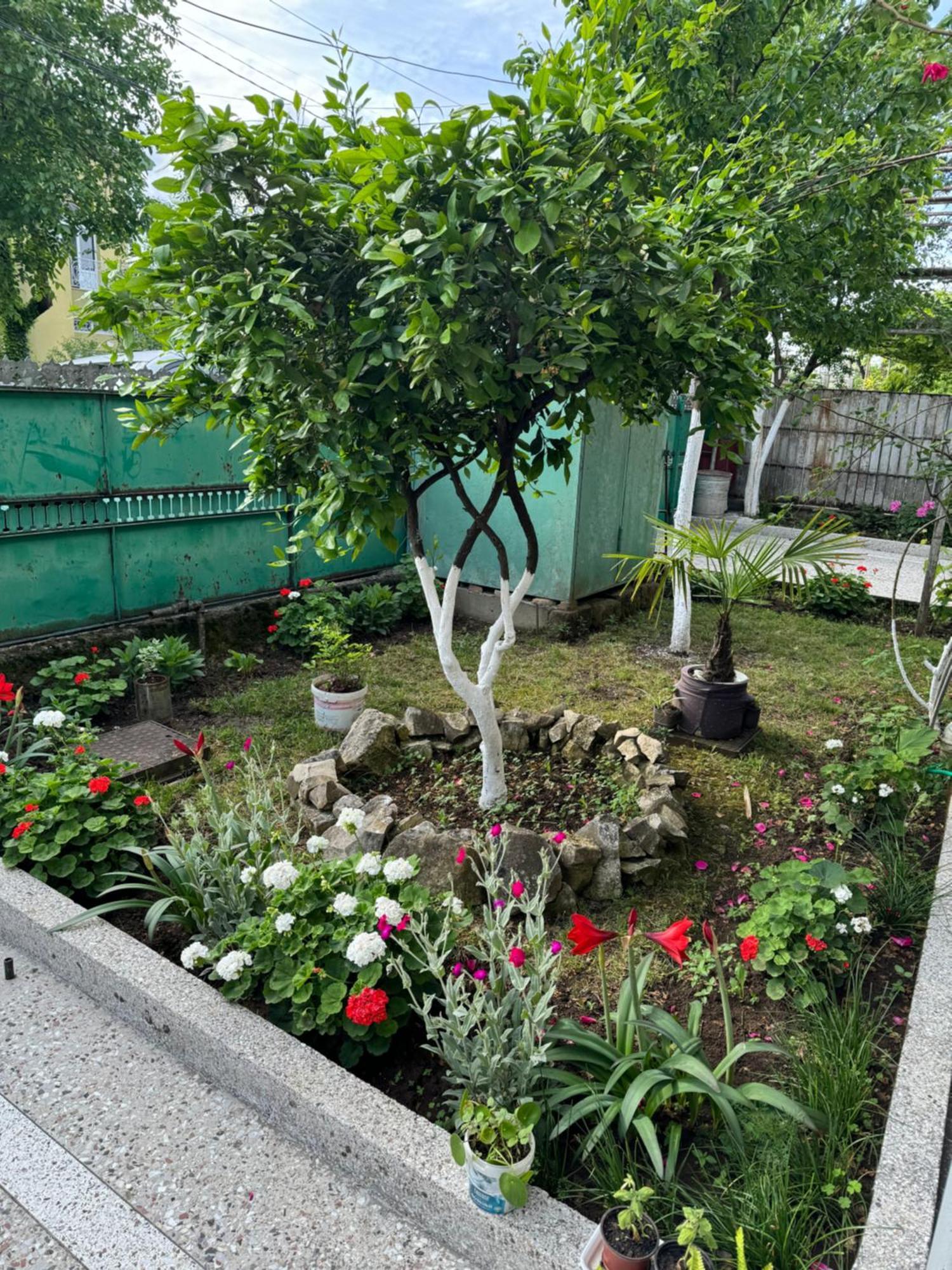 Host N1 Apartment Kutaisi Luaran gambar